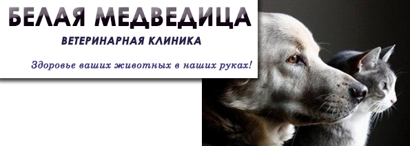 Стерилизация животных Иркутск