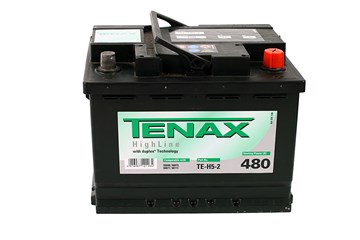 Аккумулятор TENAX NIGH Asia  45 а/ч TE-B24L-2 обр 