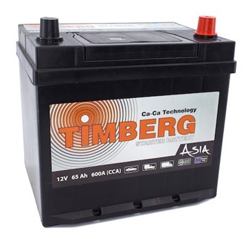 Аккумулятор Timberg Asia 6СТ-100 о/п ниж.крепление 