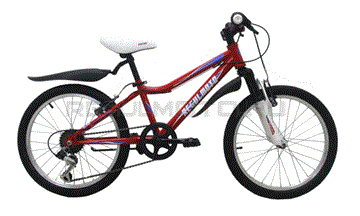 Велосипед Regulmoto 20-104 красный 